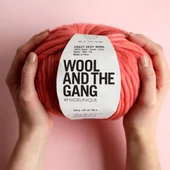 Crazy Sexy Wool  Crazy Sexy Wool