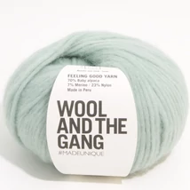 Wool And The Gang Feeling Good Yarn