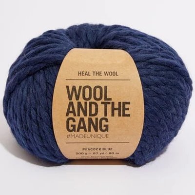 Wool And The Gang Heal The Wool
