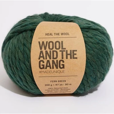 Wool And The Gang Heal The Wool